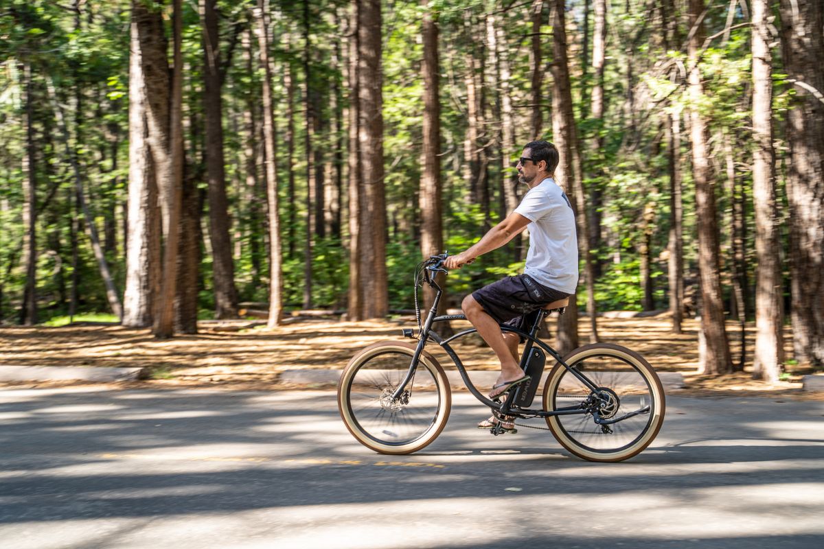 Electric best sale bike repair